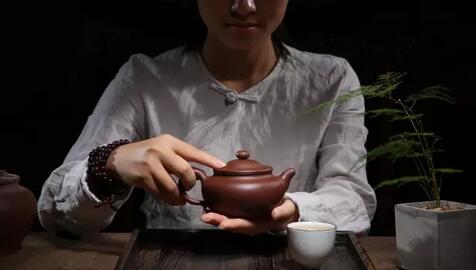 茶橘养生，健康生活每一天